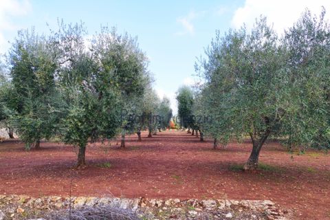 Landejendom i Ostuni, Brindisi, Ostuni - € 135.000 | Ref: 172532 - foto 15